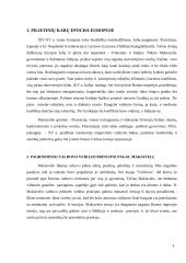 Valstybės valdymo principai pagal Makiavelio "Valdovą" 2 puslapis