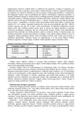 Žmogus bei vanduo 11 puslapis