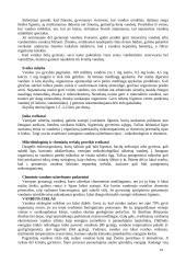 Žmogus bei vanduo 14 puslapis