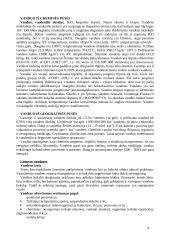 Žmogus bei vanduo 4 puslapis