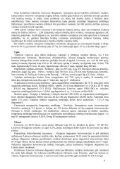 Žmogus bei vanduo 6 puslapis