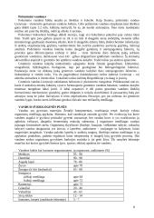 Žmogus bei vanduo 8 puslapis