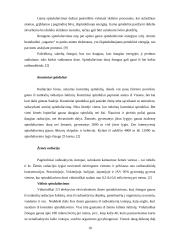 Veiksniai, turintys įtakos žmogaus sveikatai 16 puslapis