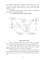 Veiksniai, turintys įtakos žmogaus sveikatai 17 puslapis
