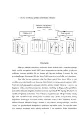 Veiksniai, turintys įtakos žmogaus sveikatai 5 puslapis