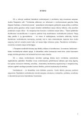 Verslo ciklo teorijos 2 puslapis