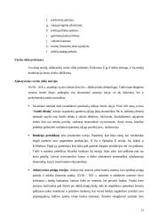 Verslo ciklo teorijos 12 puslapis