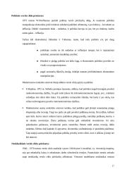 Verslo ciklo teorijos 16 puslapis
