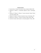 Verslo ciklo teorijos 19 puslapis