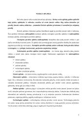 Verslo ciklo teorijos 7 puslapis