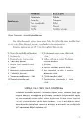 Verslo ciklo teorijos 10 puslapis