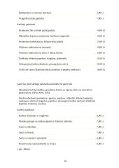 Verslo planas: kavinė UAB "Pajūrio Vėjas" 11 puslapis