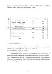 Verslo planas: kavinė UAB "Pajūrio Vėjas" 8 puslapis