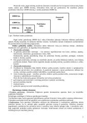 Verslo planas: komutaciniai aparatai UAB "Mūdų šaišas" 2 puslapis