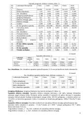 Verslo planas: komutaciniai aparatai UAB "Mūdų šaišas" 8 puslapis