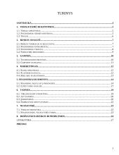 Verslo planas: langų sandarinimas ir apdailos darbai "Apdaila" 2 puslapis