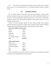 Verslo planas: langų sandarinimas ir apdailos darbai "Apdaila" 11 puslapis