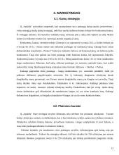 Verslo planas: langų sandarinimas ir apdailos darbai "Apdaila" 12 puslapis