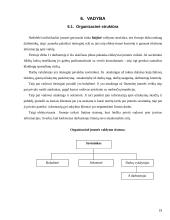 Verslo planas: langų sandarinimas ir apdailos darbai "Apdaila" 19 puslapis