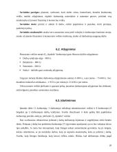 Verslo planas: langų sandarinimas ir apdailos darbai "Apdaila" 20 puslapis