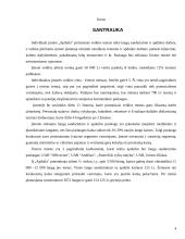 Verslo planas: langų sandarinimas ir apdailos darbai "Apdaila" 4 puslapis