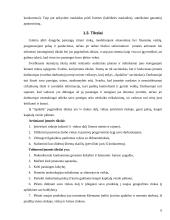 Verslo planas: langų sandarinimas ir apdailos darbai "Apdaila" 6 puslapis