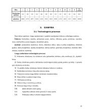 Verslo planas: langų sandarinimas ir apdailos darbai "Apdaila" 10 puslapis