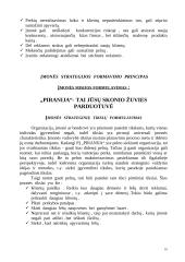 Verslo planas: žuvies parduotuvė IĮ "Piranija" 10 puslapis