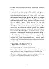 Verslo politika 15 puslapis