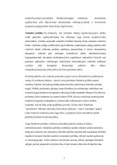 Verslo politika 7 puslapis