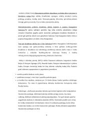 Verslo politika 9 puslapis