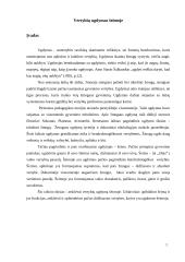 Vertybių ugdymas šeimoje