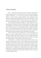 Vertybių ugdymas šeimoje 2 puslapis