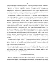 Vidaus reikalų sistemos pareigūnų atsakomybės ypatumai 11 puslapis