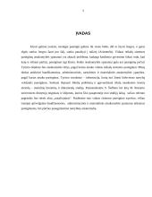 Vidaus reikalų sistemos pareigūnų atsakomybės ypatumai 3 puslapis