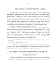 Vidaus reikalų sistemos pareigūnų atsakomybės ypatumai 4 puslapis