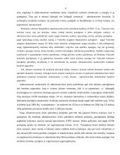 Vidaus reikalų sistemos pareigūnų atsakomybės ypatumai 6 puslapis