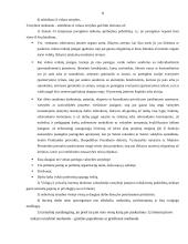 Vidaus reikalų sistemos pareigūnų atsakomybės ypatumai 8 puslapis