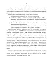 Vidaus reikalų sistemos pareigūnų atsakomybės ypatumai 9 puslapis