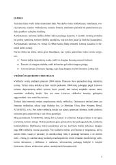 Viešbučio įkūrimas 2 puslapis