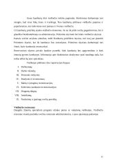 Viešbučio įkūrimas 11 puslapis