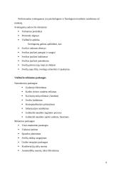 Viešbučio įkūrimas 4 puslapis