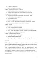 Viešbučio įkūrimas 6 puslapis