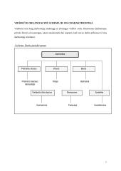 Viešbučio įkūrimas 7 puslapis