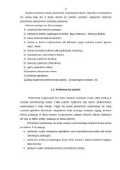 Viešosios pirkimo-pardavimo sutartys 12 puslapis