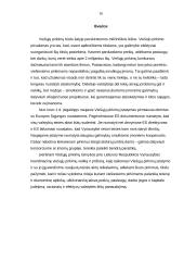 Viešosios pirkimo-pardavimo sutartys 15 puslapis