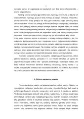 Viešosios pirkimo-pardavimo sutartys 4 puslapis