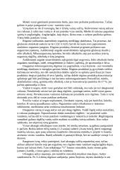 Vynas, jo tipai 5 puslapis