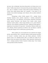 Vincas Kudirka ir "Varpas" 11 puslapis