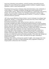 Vincas Mykolaitis – Putinas (1893-1967) 11 puslapis